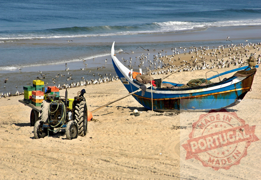Fishing boat and tractor on sandy beach with seagulls | Traditional fishing boat and tractor with crates resting on a Portuguese beach near the Atlantic Ocean - Realisiert mit Pictrs.com