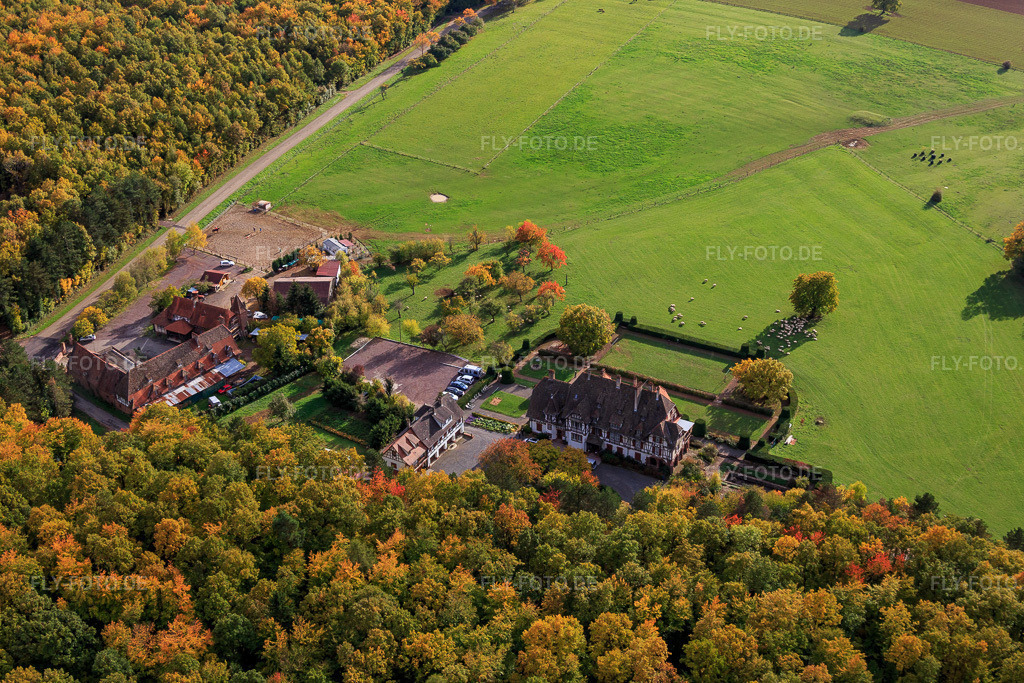 Luftbild: ferme Mellon in Niederbronn-les-Bains im Bundesland Bas-Rhin in Frankreich. – Foto: IMG_084726.jpg vom 23.10.2015 durch Werner Riehm/FLY-FOTO.de – Auflösung des Originals: 5472 x 3648 px – Ferme Mellon - Restaurant et chambres d'hôtes