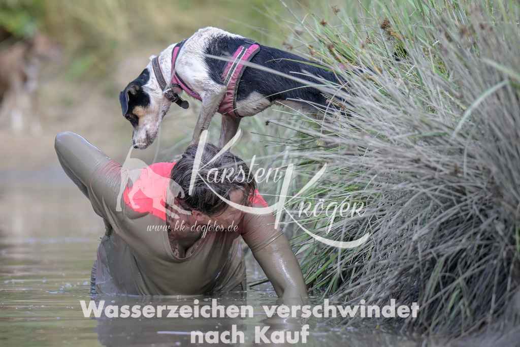 1714_ZZ99166 | kk-dogfotos