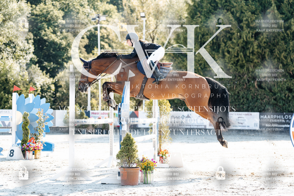 CK901721 | Turnierfotografie Pferdefotografie Trier Rheinland-Pfalz Pferdesport Reitsport Tierfotografie Sportfotografie Pferdevideo Pferdevideografie Equestrianvideography equestrianphotography  - Realisiert mit Pictrs.com