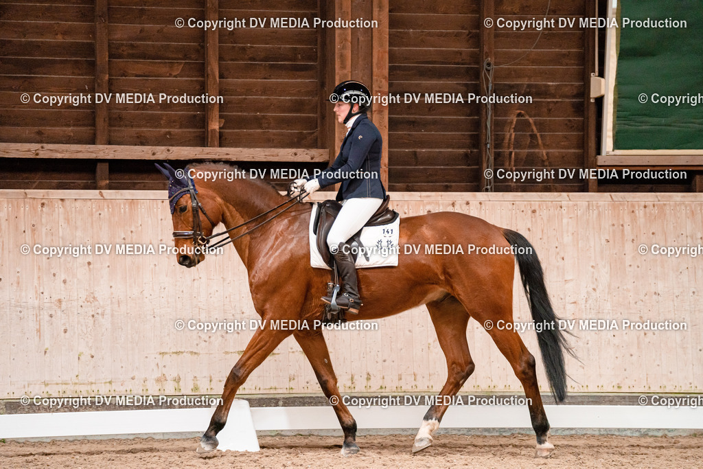 Dressur Tag 3-295 | dv-media-shop - Realisiert mit Pictrs.com