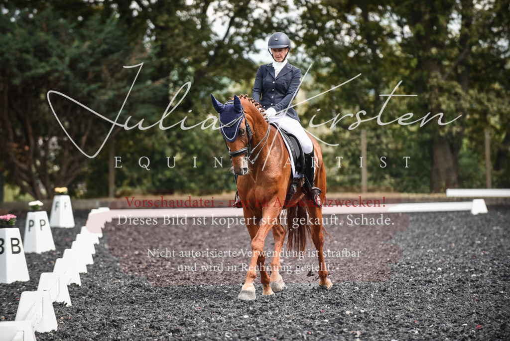 DSC_5029 | Pferde- und Turnierfotografie in Westsachsen. Pferdeportraits, Auftragszeichnungen und intuitive Kunst.