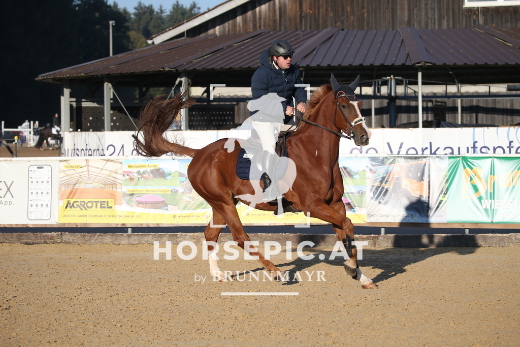 DL2Q0622 | Willkommen bei Brunnmayr - Design & Fotografie – Ihrem Spezialisten für Reitturniere und Pferdeveranstaltungen in Oberösterreich, Salzburg und Bayern! Seit über 17 Jahren sind wir leidenschaftlich dabei.