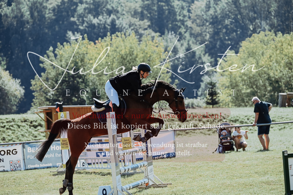 DSC_5802 | Pferde- und Turnierfotografie in Westsachsen. Pferdeportraits, Auftragszeichnungen und intuitive Kunst.