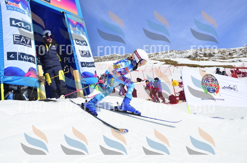 _ELE0665 | holidayphoto