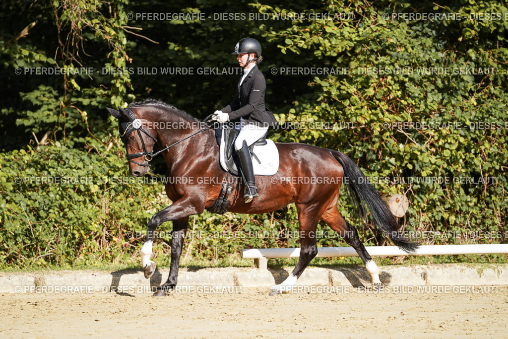 DSC08049 | Pferdegrafie