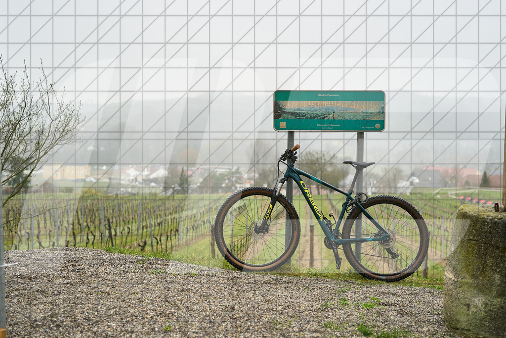 33. KTM Kamptal Trophy | 29.03.2025: 33. KTM Kamptal Trophy in Zöbing, Niederösterreich, ÖsterreichFoto: © 2025 Martin Bihounek / martinbihounek.comInsta: @martinbihounekcomFB: @martinbihounekphotography