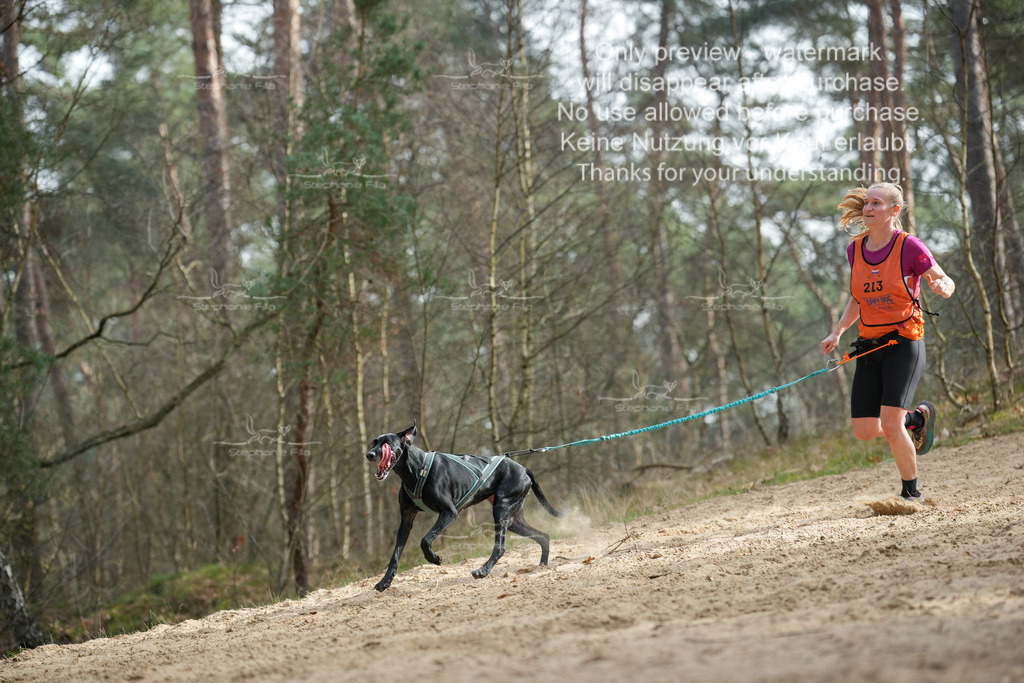 LangeCross-57 | stephaniefillaphotographie - Realisiert mit Pictrs.com