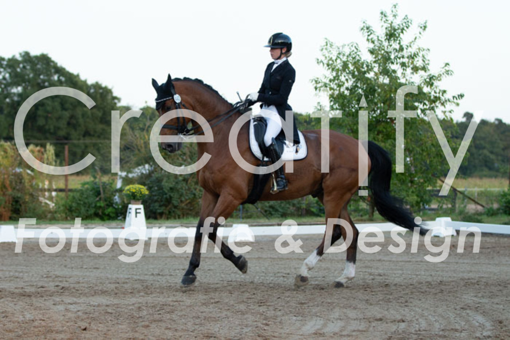 IMG_6811 | Creatify Fotografie