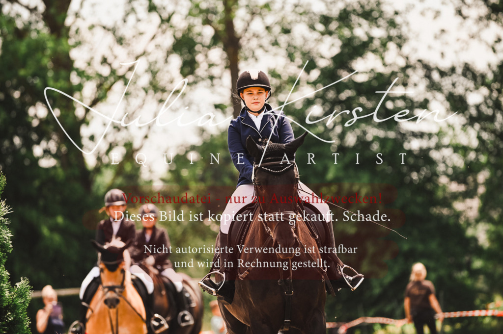 DSC_6330 | Pferde- und Turnierfotografie in Westsachsen. Pferdeportraits, Auftragszeichnungen und intuitive Kunst.