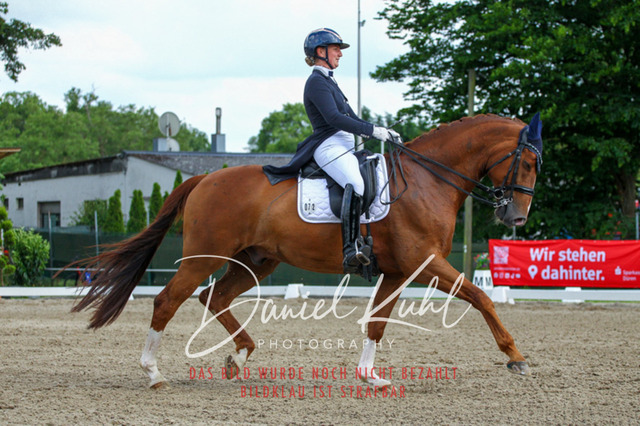DKP41549 | Deine Turnierfotos vom Reitturnier online kaufen: Dressur, Springen & Siegerehrung. Professionelle Pferdefotografie aus dem Rheinland – als Download & Print.Alternative: Turnierfotograf für den Pferdesport: Finde deine Fotos von Dressur- und Springturnier