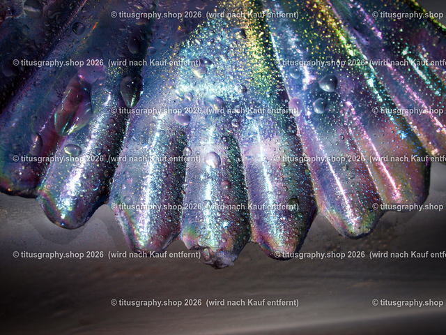 P5146204-b | Fotokunstarbeit aus der INSTAGRAM-Gallerie auf titusgraphy.eu - Realisiert mit Pictrs.com