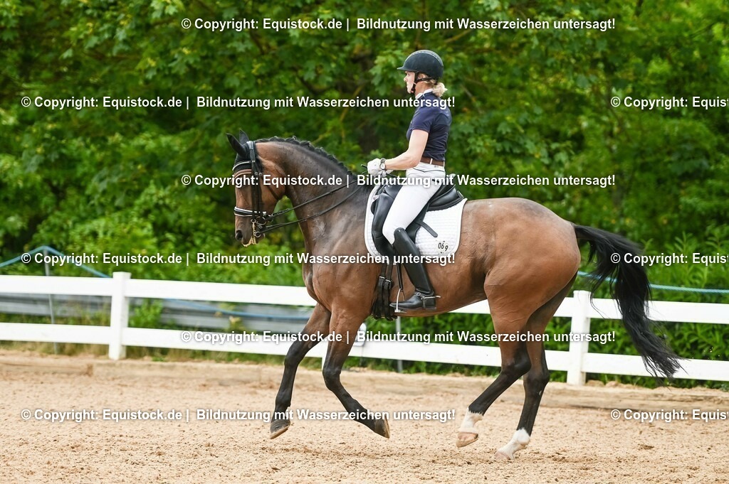 20230716_01_Dressurprüfung Kl.M_0439 | equistock