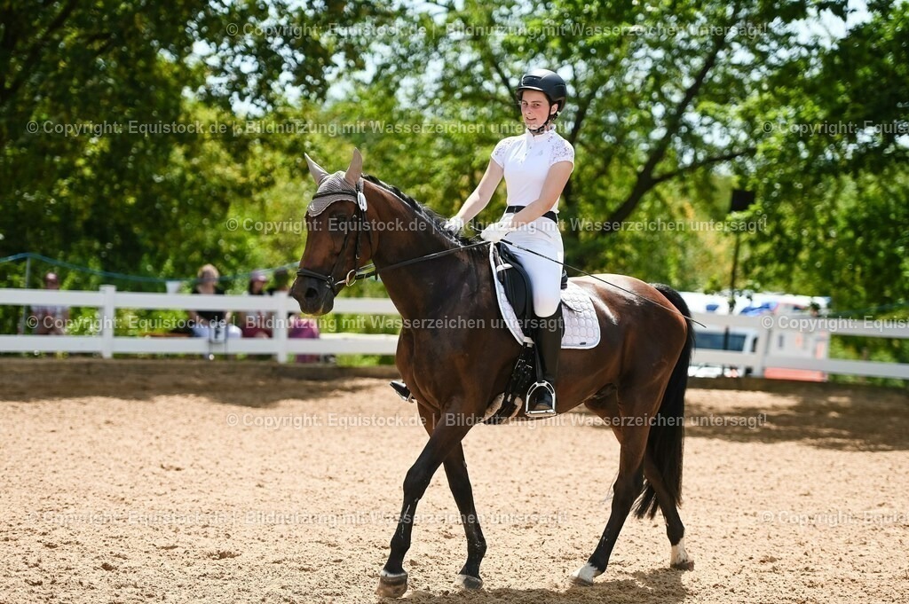 20230715_09_Dressur-WB_0239 | equistock