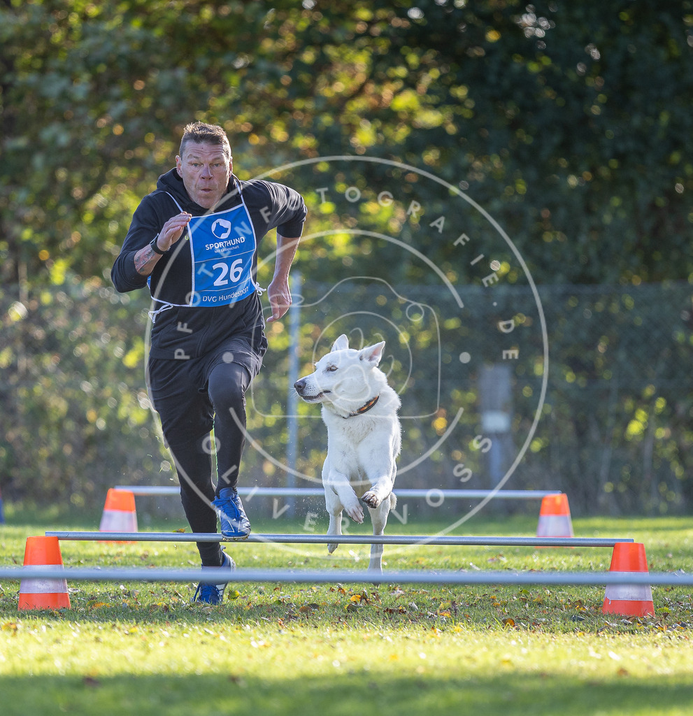 Pfotenfotografie.de_DV3A2994 | Hundefotografie, Tierfotograf, Pfotenfotografie, Fotoshooting Hund, Hunde Portrait, Hundesport, Hundeportraits, Heideshooting, Hunde, Sportfotograf, Hundefotograf, Turnierhundsport, THS, canicross - Realisiert mit Pictrs.com