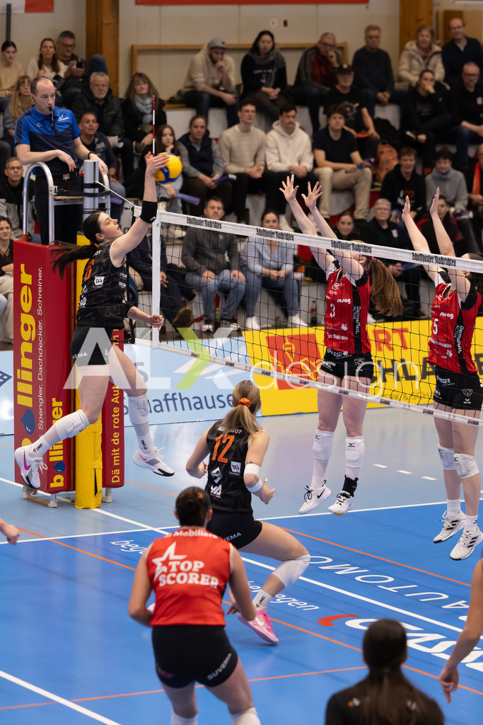 Volleyball I Frauen I Saison 2025-2026 I Volleyball NLA | Women I Round 16 I VC Kanti Schaffhausen - Viteos NUC I 31.01.2026 | 8 Attieh Gabrielle (CA) (Viteos NUC) – Außenangriff - Realisiert mit Pictrs.com