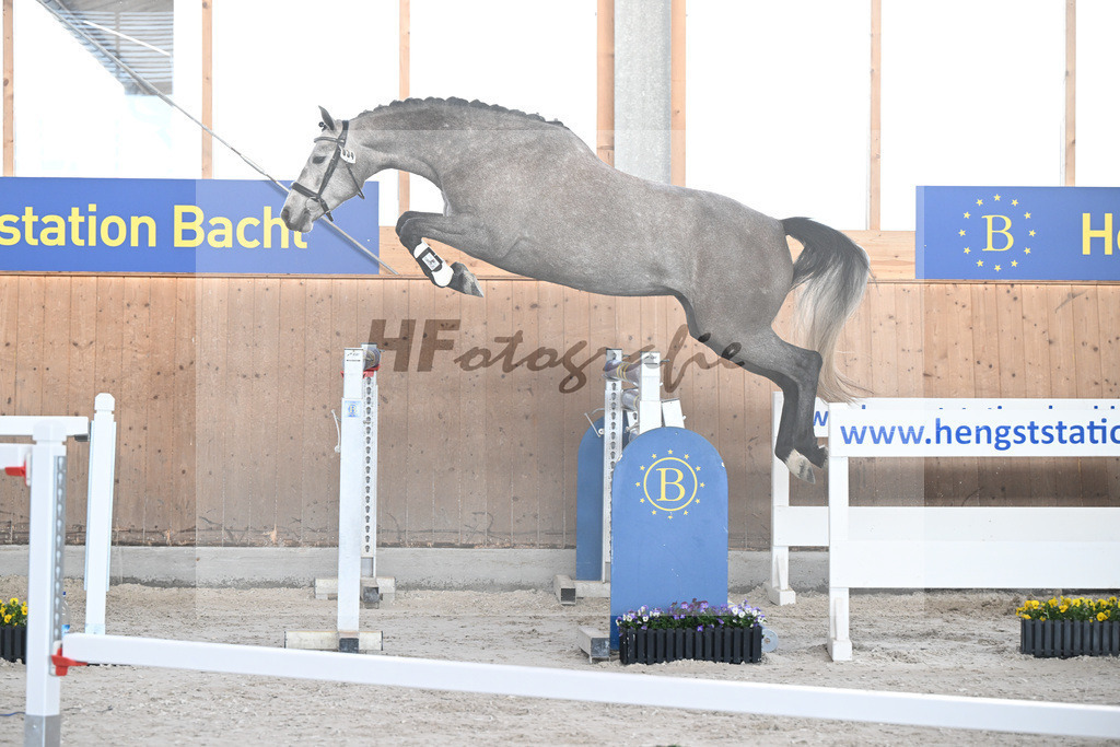 Kat-Nr. 34 Kalea v. Vingino_Bachl_5250679 | hf-fotografie - Realizzato con Pictrs.com