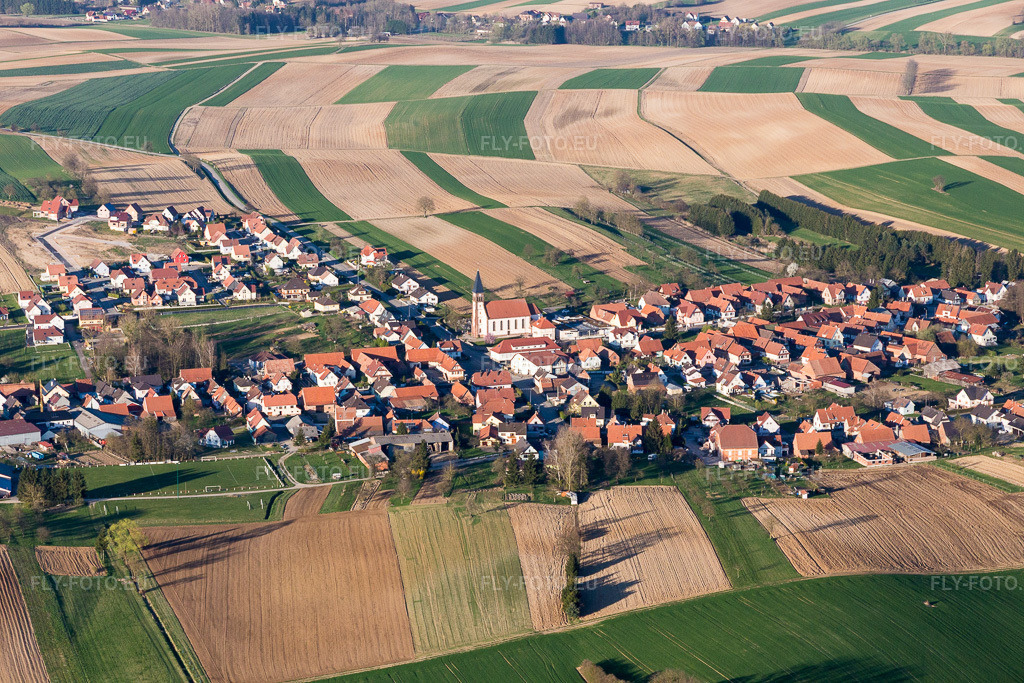 Vue aérienne: Champs agricoles et terres arables à Aschbach dans le département Bas Rhin, France. Photo: IMG_097809.jpg prise le 27/03/2017 par Werner Riehm/FLY-FOTO.euRésolution de l'original: 5472 x 3648 px