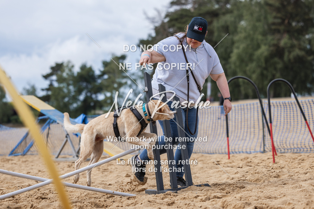nelerasche_BuHu2026_So1530-Ende_64 | nelerasche