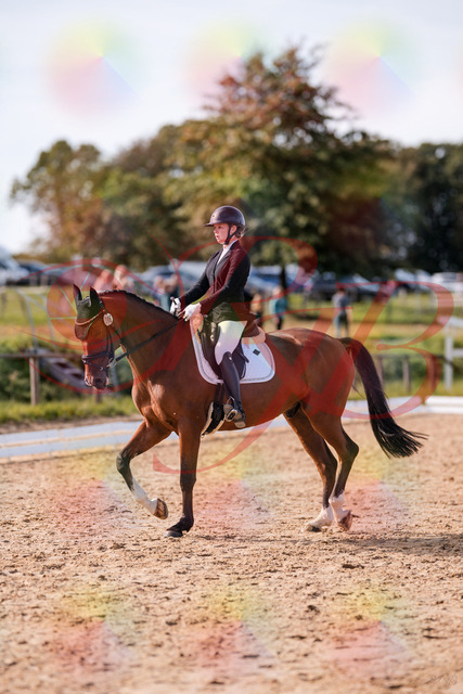 2026_10_03_Siefer-Hof_131706_Z81_65298670 | Professionelle Reitsport-, Turnier- und Eventfotografie von Robert Broda. Galerien mit ausgewählten und bearbeiteten Bildern direkt online ansehen und bestellen.