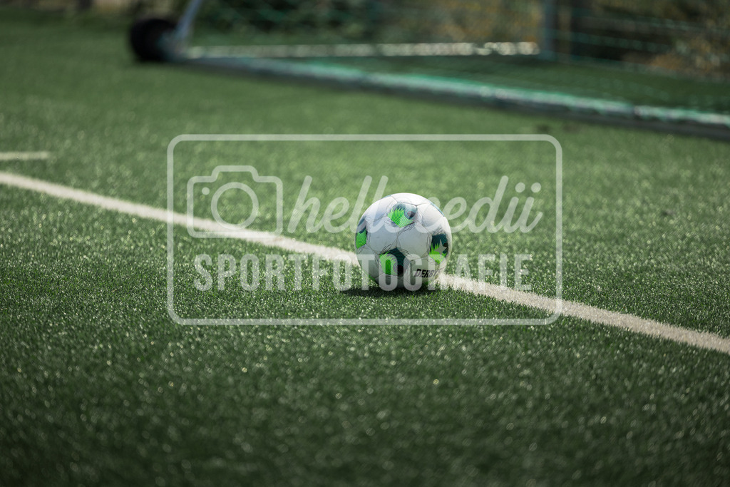Fußball I Frauen I Freundschaftsspiel I DJK Arminia Ibbenbüren - DSC Arminia Bielefeld I 14823 | realhellocedii - Realisiert mit Pictrs.com