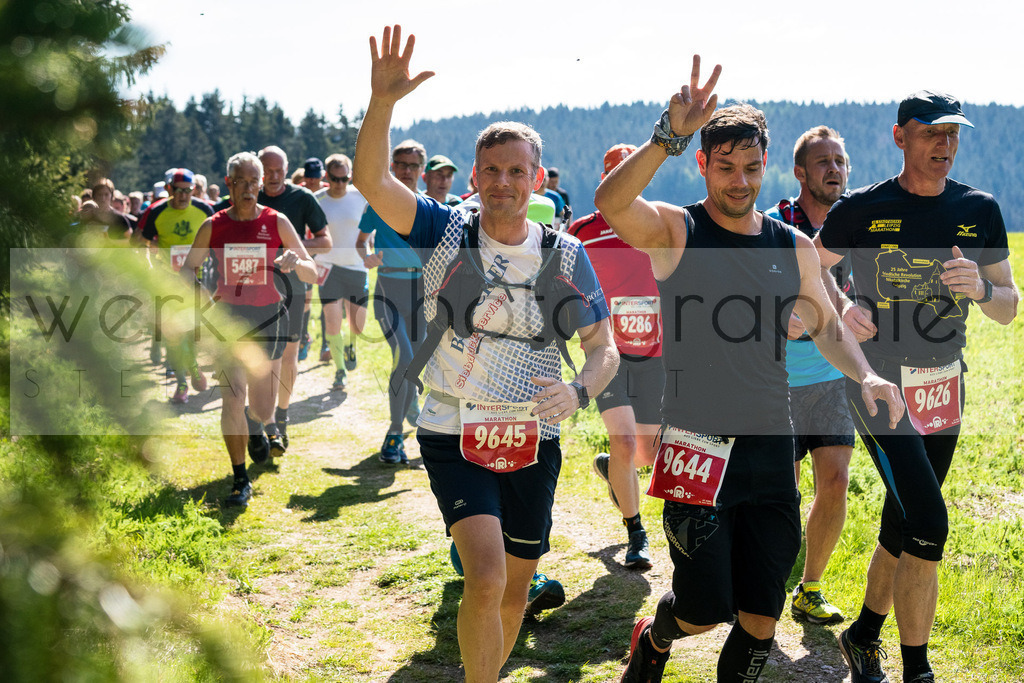 Rennsteiglauf 2019 | Marathon Neuhaus/Rwg. - Schmiedefeld am 18. Mai 2019