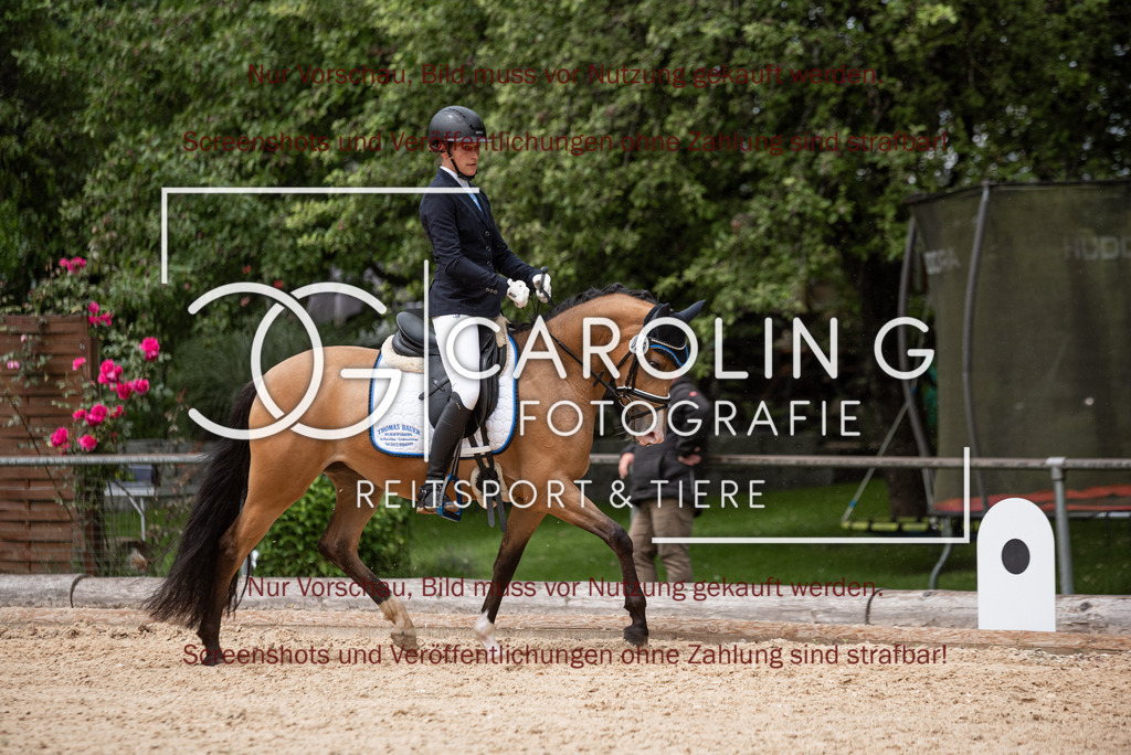 DSC_3138 | Turnierfotografin Carolin Gieschke,Reitsport Turnierfotografie Carolin G Fotografie | Turnierfotos aus Kirchheim/Teck, Esslingen, Stuttgart und dem Bodenseekreis