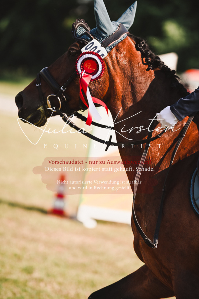 DSC_7404 | Pferde- und Turnierfotografie in Westsachsen. Pferdeportraits, Auftragszeichnungen und intuitive Kunst.