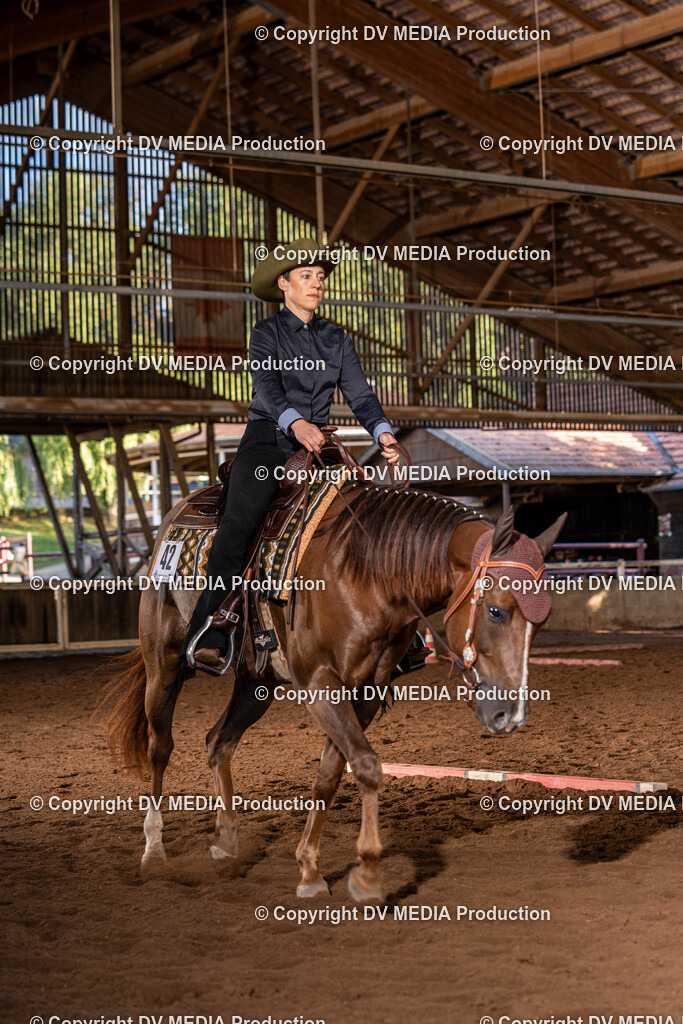 Erbach Tag 2-02 | dv-media-shop - Realisiert mit Pictrs.com