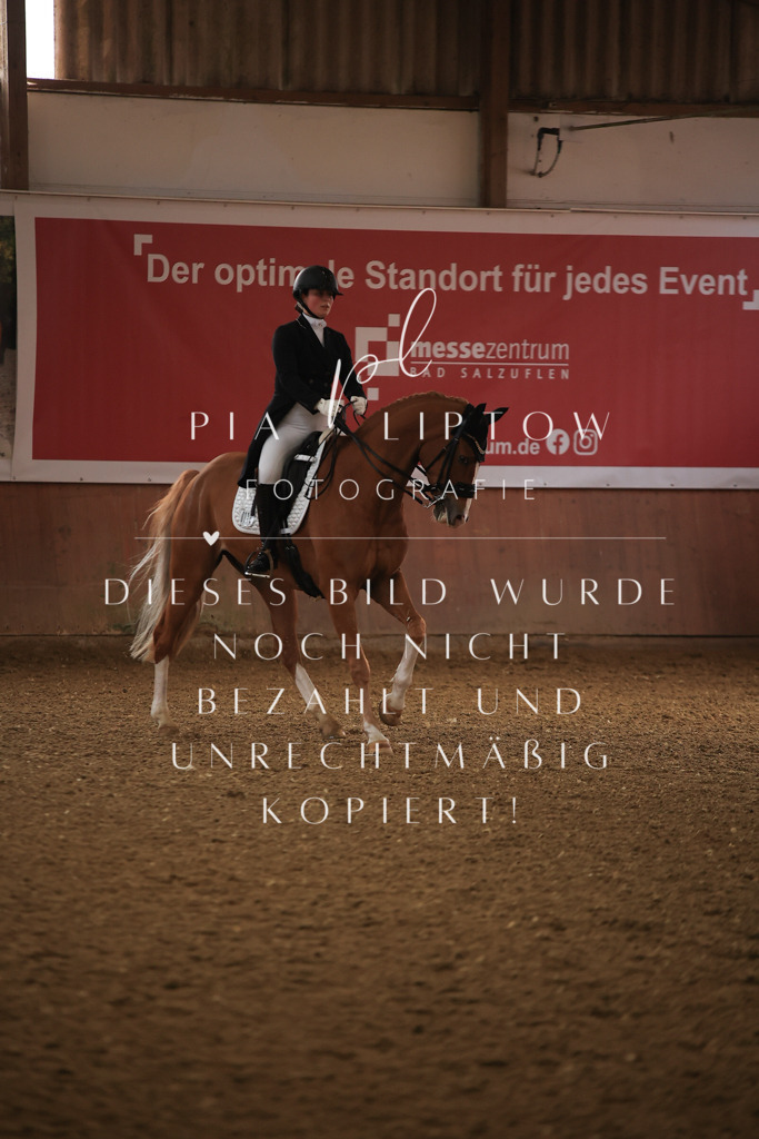 IMGT4666 | pl-fotografie