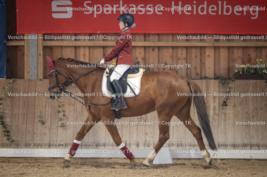 _D5A5619 | Emotionale Pferde- & People-Fotografie rund um Heidelberg, Leimen & Umgebung. Natürliche Fotos von Pferd, Mensch & Familie. Jetzt Termin sichern!