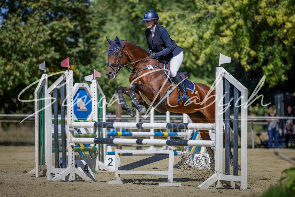 20250906-_3LI4036 | Tierfotografie Pferde, Hunde, Katzen, Haustiere.
Turnierfotografie Reitturniere, Reiten, Springreiten, Dressur in Hanau, dem Main-Kinzig-Kreis und dem Rhein-Main- Gebiet um Frankfurt