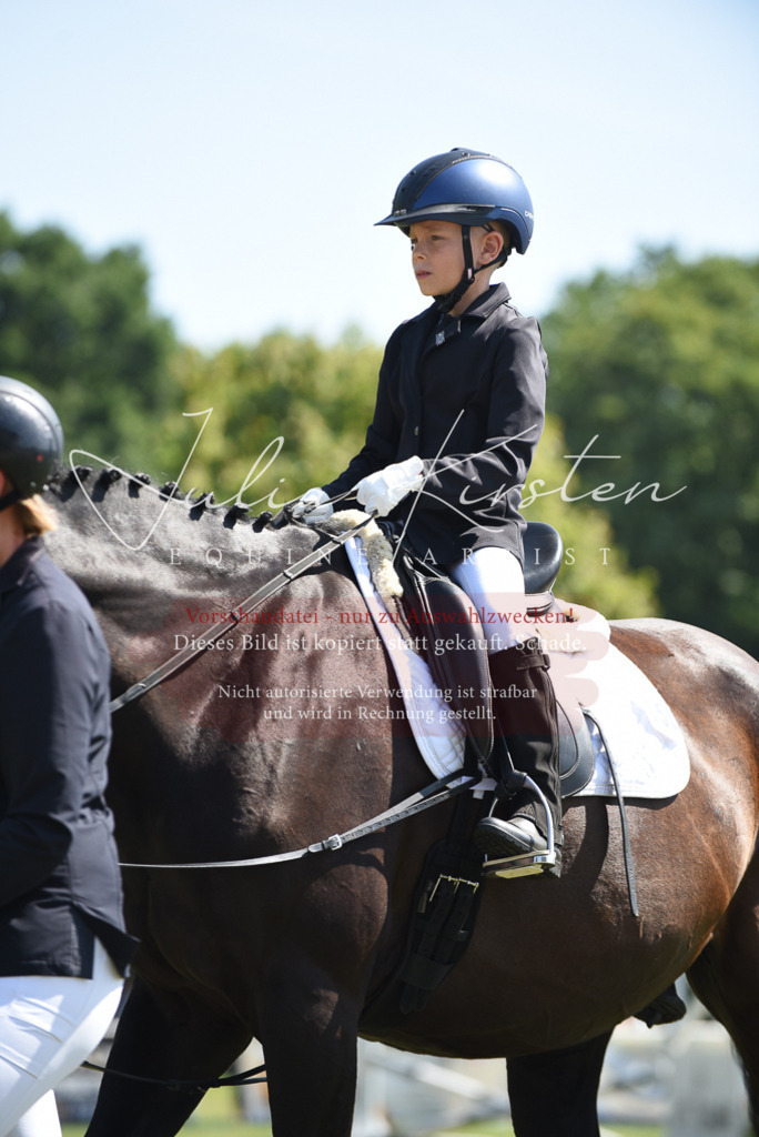 DSC_9818 | Pferde- und Turnierfotografie in Westsachsen. Pferdeportraits, Auftragszeichnungen und intuitive Kunst.