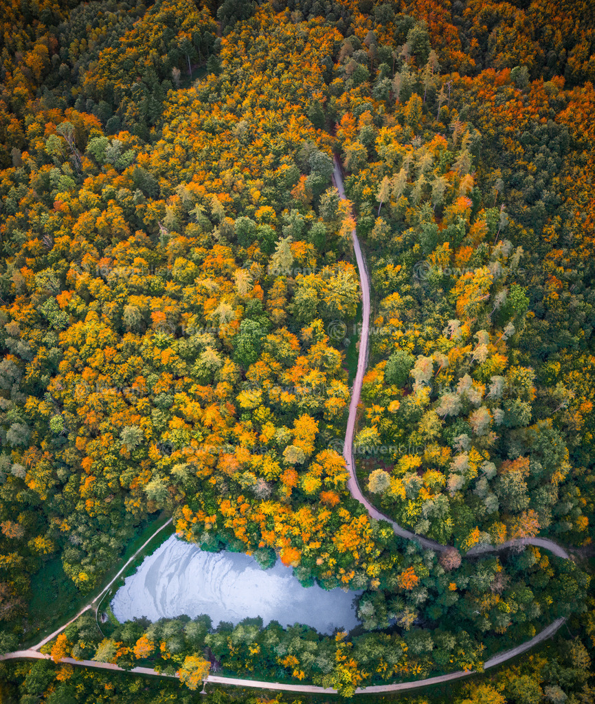 Schlater Waldsee im Herbst | löwenblicke | shop