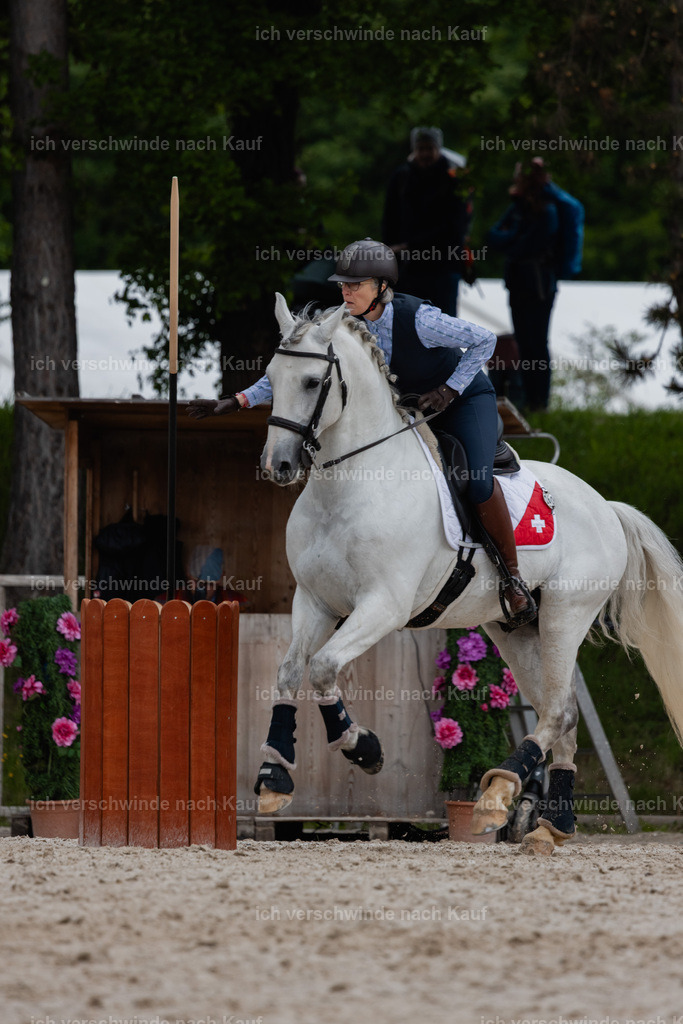 PI26_SP_StoibphotographyC2_C2359.jpg | working equitationturnier fotograf videograf stoibphotography marixx film working equitation deutschland reitsport turnierfotografie eventfotografie equestrian events