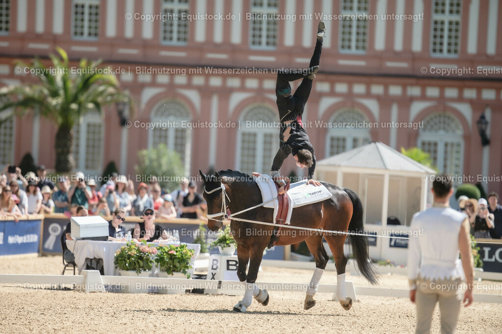 20230528_Voltigieren_NASPA_0148 | equistock