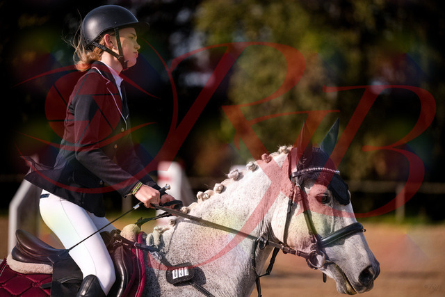 2026_10_03_Siefer-Hof_155119_Z81_70111077 | Professionelle Reitsport-, Turnier- und Eventfotografie von Robert Broda. Galerien mit ausgewählten und bearbeiteten Bildern direkt online ansehen und bestellen.