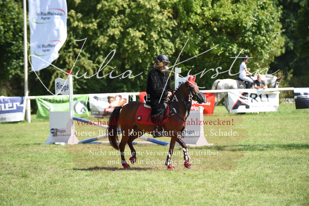 DSC_0301 | Pferde- und Turnierfotografie in Westsachsen. Pferdeportraits, Auftragszeichnungen und intuitive Kunst.