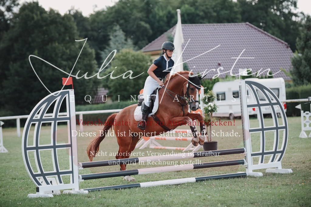 DSC_5619 | Pferde- und Turnierfotografie in Westsachsen. Pferdeportraits, Auftragszeichnungen und intuitive Kunst.
