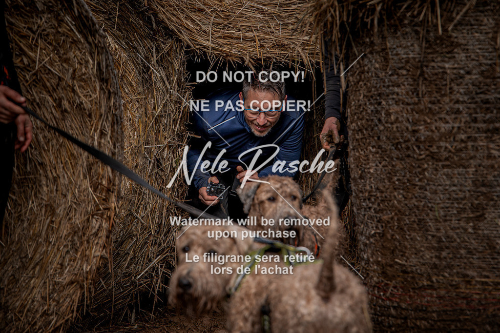 nelerasche_Hunsrück_So13-Ende_62 | nelerasche