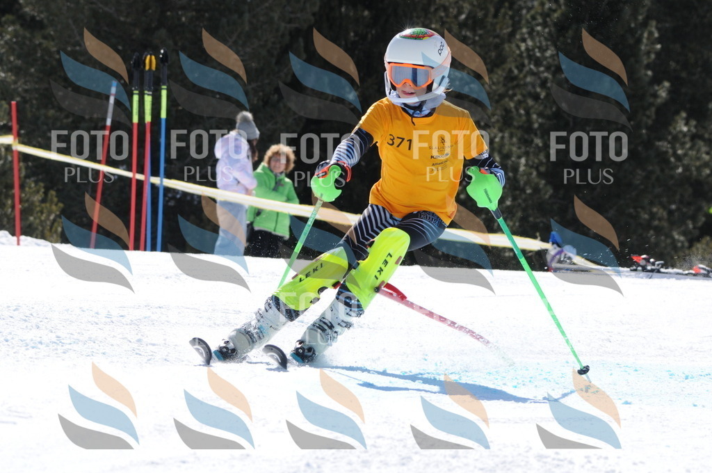 C8921 | holidayphoto