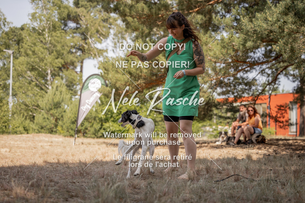nelerasche_soDD2_418 | nelerasche