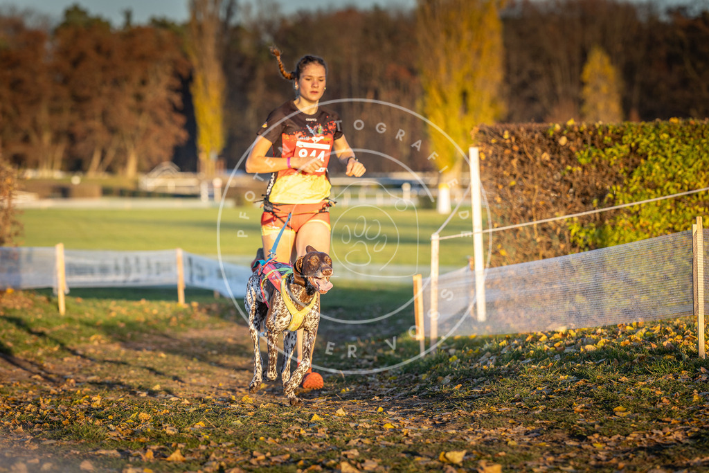 CaniXpix_DV3A5433 | Hundefotografie, Tierfotograf, Pfotenfotografie, Fotoshooting Hund, Hunde Portrait, Hundesport, Hundeportraits, Heideshooting, Hunde, Sportfotograf, Hundefotograf, Turnierhundsport, THS,  - Realisiert mit Pictrs.com