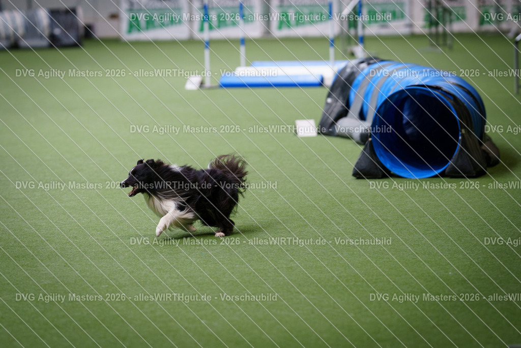 allesWIRTHgut_Tierfotografie-DVG_Agility_Masters_2026-09_38-7R509529 | Professionelle Tierfotografie in Mönchengladbach von Daniel Wirth (allesWIRTHgut). Liebevolle & natürliche Bilder von Hunden & Katzen für unvergessliche Erinnerungen.