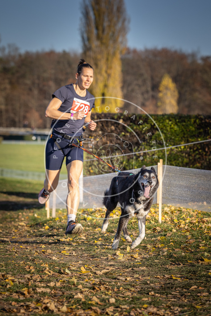 CaniXpix_DV3A1987 | Hundefotografie, Tierfotograf, Pfotenfotografie, Fotoshooting Hund, Hunde Portrait, Hundesport, Hundeportraits, Heideshooting, Hunde, Sportfotograf, Hundefotograf, Turnierhundsport, THS,  - Realisiert mit Pictrs.com