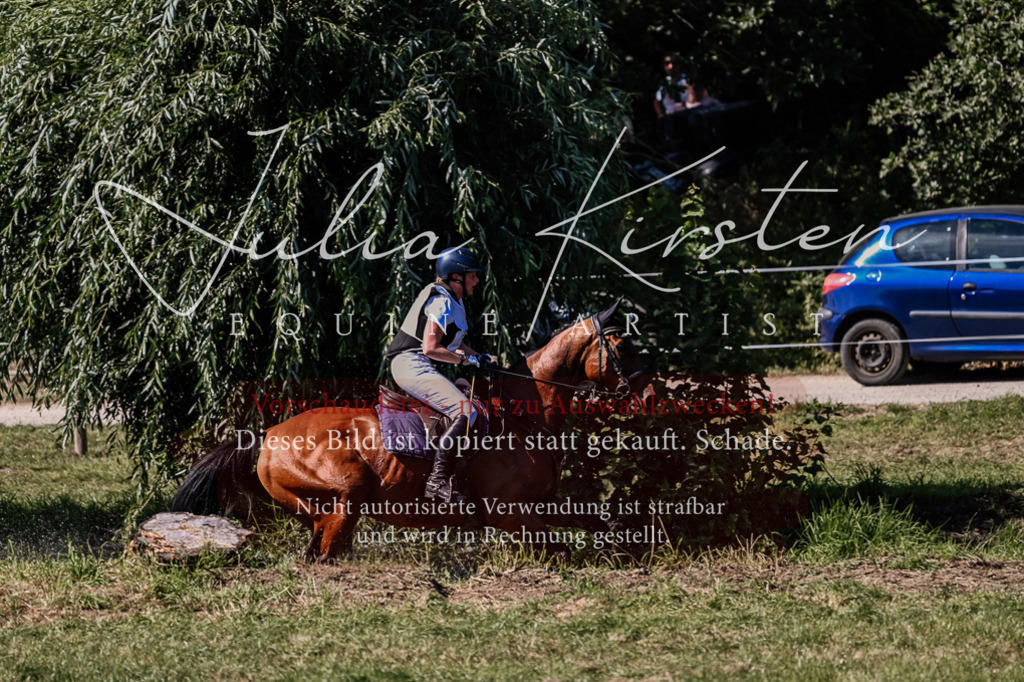 DSC_1994 | Pferde- und Turnierfotografie in Westsachsen. Pferdeportraits, Auftragszeichnungen und intuitive Kunst.