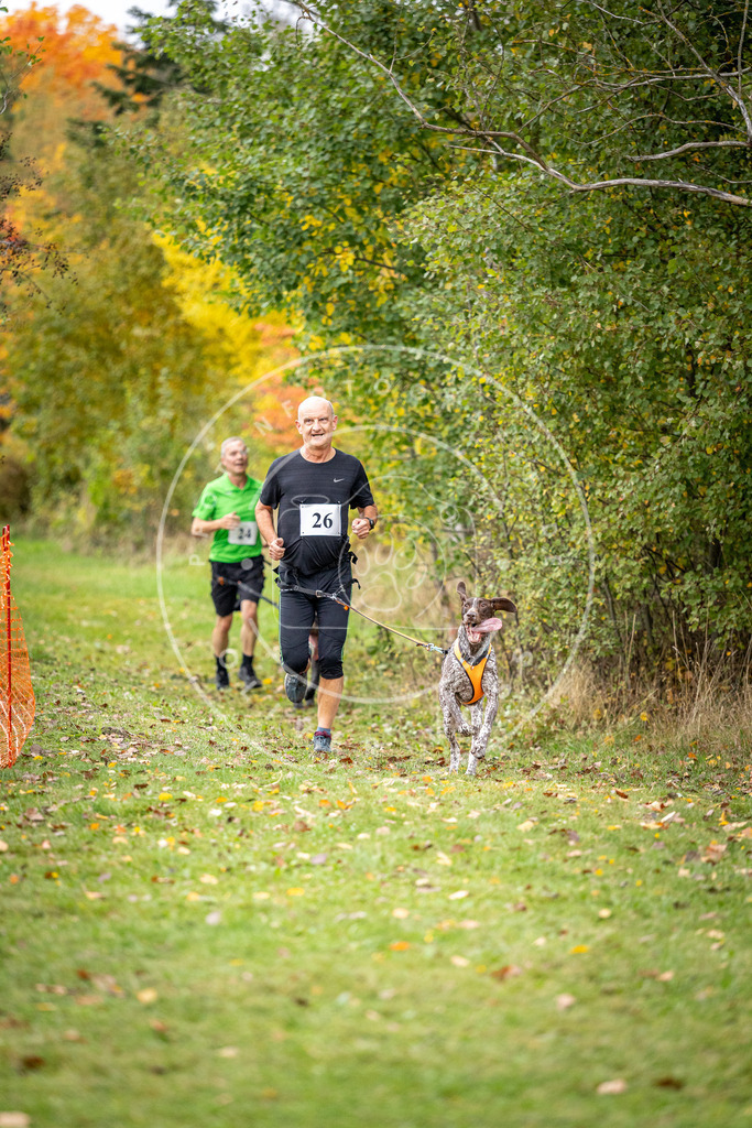 Pfotenfotografie_DV3A1994 | Hundefotografie, Tierfotograf, Pfotenfotografie, Fotoshooting Hund, Hunde Portrait, Hundesport, Hundeportraits, Heideshooting, Hunde, Sportfotograf, Hundefotograf, Turnierhundsport, THS,  - Realisiert mit Pictrs.com