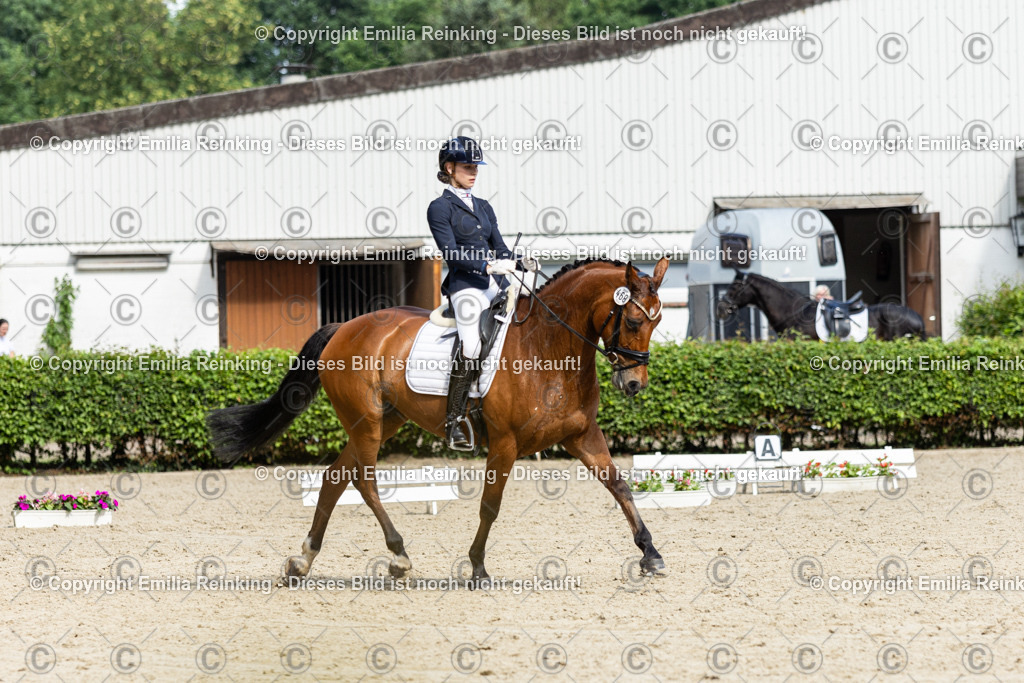 CL5A6214-2 | Emilia Reinking Fotografie - Realisiert mit Pictrs.com