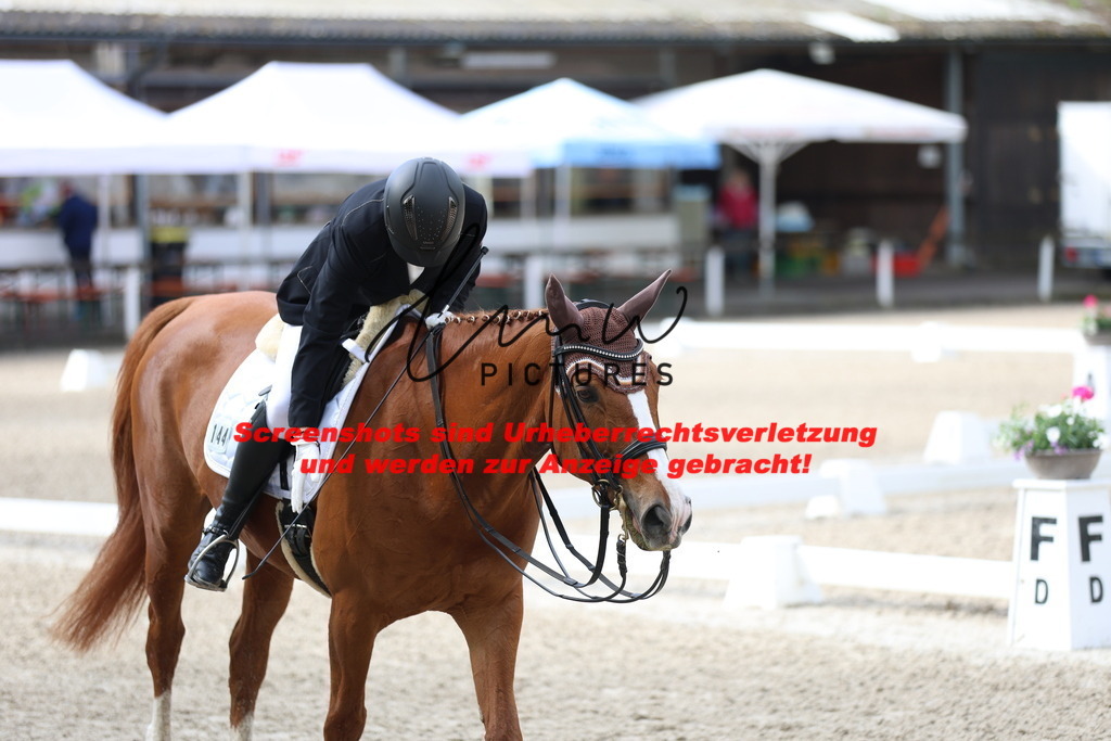 A40A0209 | lmwpictures - Realisiert mit Pictrs.com