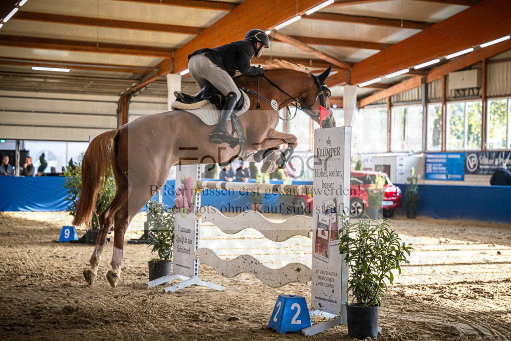 DOS_2530 | Entdecke hochwertige Reitturnierfotos von Foto Oger. Professionell, emotional und authentisch – jetzt Lieblingsmomente im Shop bestellen.Deutschlandweite Turnierfotografie. - Realisiert mit Pictrs.com
